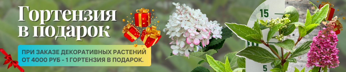 декоративные подарок