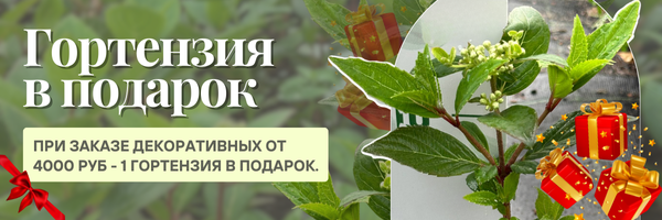 декоративные подарок
