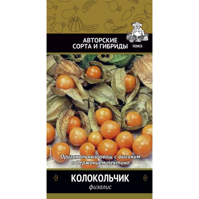 Физалис колокольчик фото