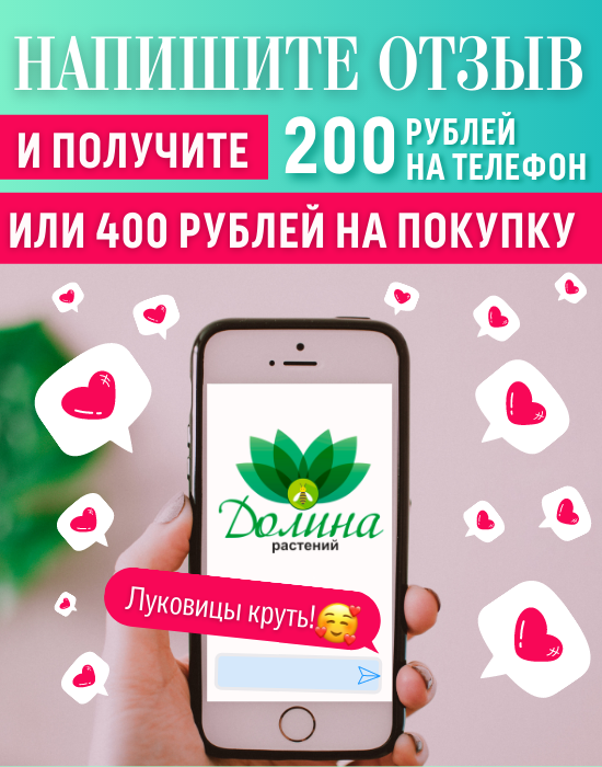 200 рублей за отзыв 200 рублей за отзыв