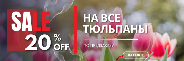 АКЦИЯ НА ТЮЛЬПАНЫ 20