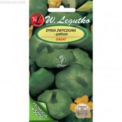 Патиссон Гагат фото