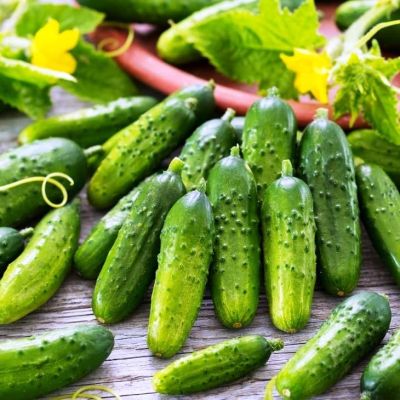 Огурец Боярский F1 фото