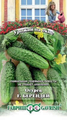 Огурец Берендей F1 "Урожай на окне" фото