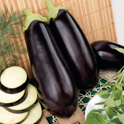 Баклажан галич Баклажан галич фото