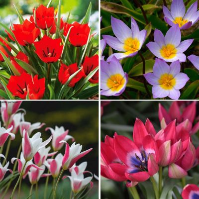 Набор 9190 Набор 9190 фото