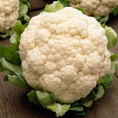 Капуста цветная Спейс Стар F1 (Голландия) Капуста цветная Спейс Стар F1 (Голландия) фото